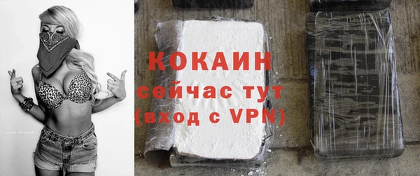 mdpv Няндома