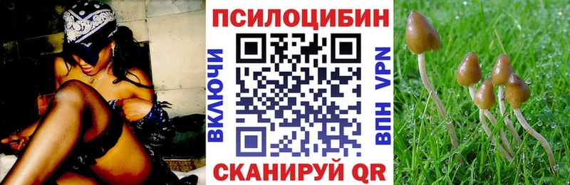 Псилоцибиновые грибы MAGIC MUSHROOMS  как найти   Шагонар 